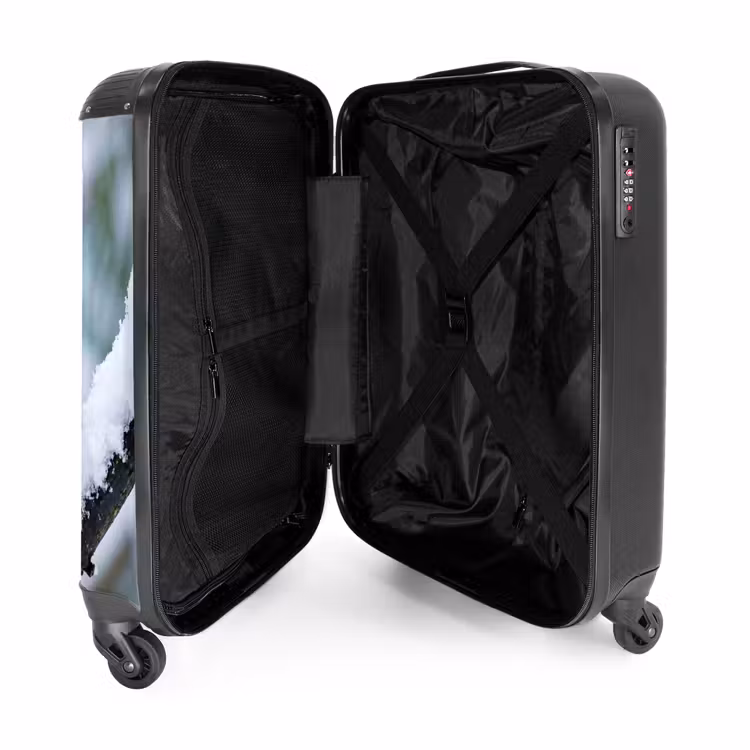 Koffer - Rotkehlchen – Ast – Schnee – Winter – Lebhaft - Roodborstje - Tak - Sneeuw - Winter - Levendig NBS - Handbagage koffer - Volwassenen Unisex middel