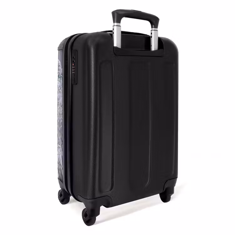 Koffer - Schilf – Gefroren – Winter – Natur - Riet - Bevroren - Winter - Natuur NBS - Handbagage koffer - Volwassenen Unisex middel
