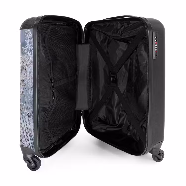 Koffer - Schilf – Gefroren – Winter – Natur - Riet - Bevroren - Winter - Natuur NBS - Handbagage koffer - Volwassenen Unisex middel