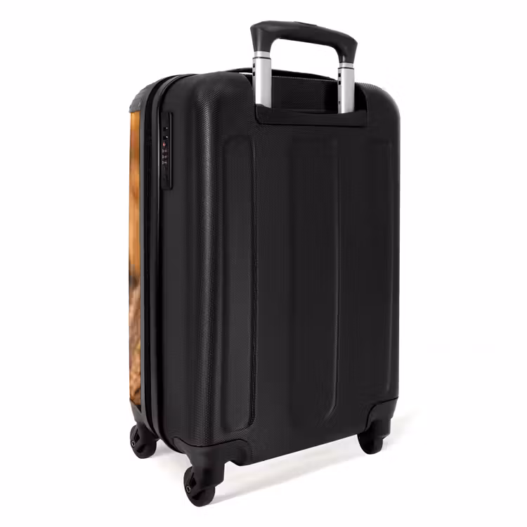 Koffer - Schilfhalme – Gras – Sonnenuntergang – Gold – Gelassenheit - Rietpluimen - Gras - Zonsondergang - Goud - Serene NBS - Handbagage koffer - Volwassenen Unisex middel