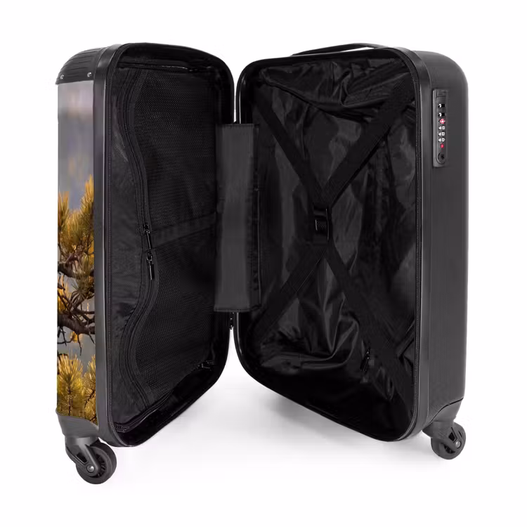 Koffer - Seeadler – Baum – Berge – Grün - Zeearend - Boom - Bergen - Groen NBS - Handbagage koffer - Volwassenen Unisex middel