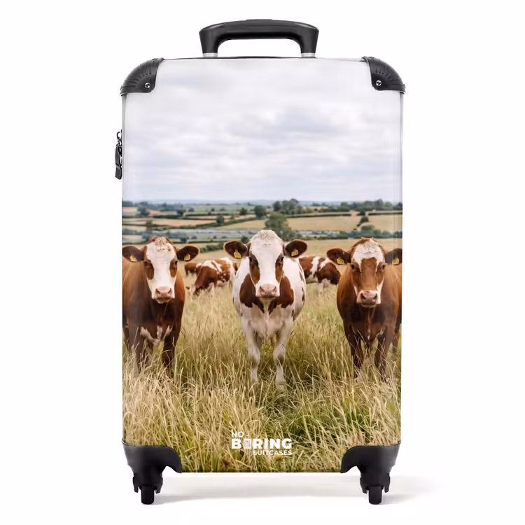 Koffer - upload-6a4f5c526792f-92-Gigapixel-Standard-v2-15x - upload-6a4f5c526792f-92-gigapixel-standard-v2-15x NBS - Handbagage koffer - Volwassenen Unisex middel