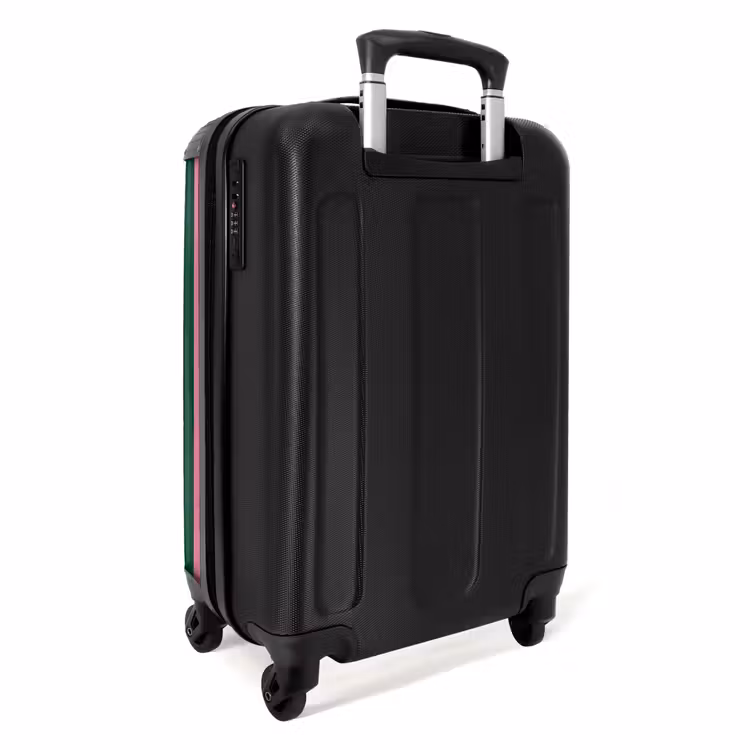 Verticale strepen - Groen - Roze NBS - Handbagage koffer - Volwassenen Unisex middel -achterkant