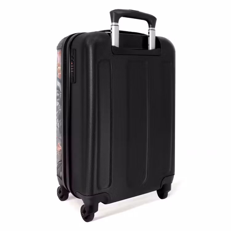 Koffer - Vogel – Pfau – Architektur – Klassisch – Grün - Vogel - Pauw - Architectuur - Klassiek - Groen NBS - Handbagage koffer - Volwassenen Unisex middel