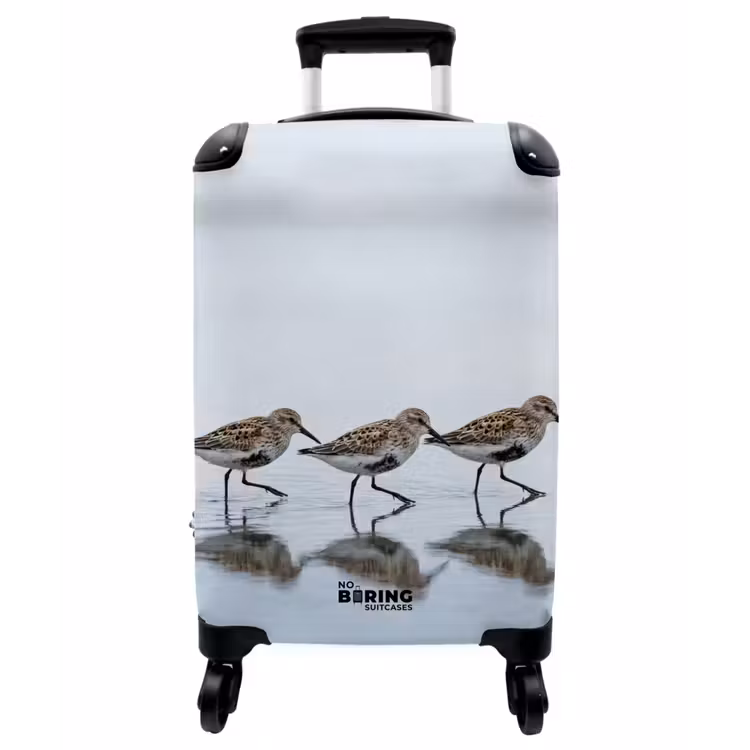 Koffer - Vögel – Wasser – Grau - Vogels - Water - Grijs NBS - Handbagage koffer - Vrouwen middel