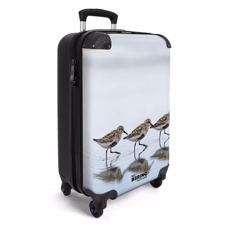 Koffer - Vögel – Wasser – Grau - Vogels - Water - Grijs NBS - Handbagage koffer - Vrouwen middel