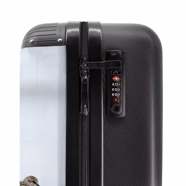 Koffer - Vögel – Wasser – Grau - Vogels - Water - Grijs NBS - Handbagage koffer - Vrouwen middel