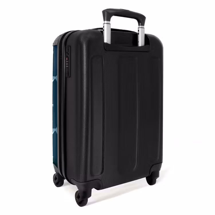 Walvisweelde NBS - Handbagage koffer - Unisex middel -achterkant