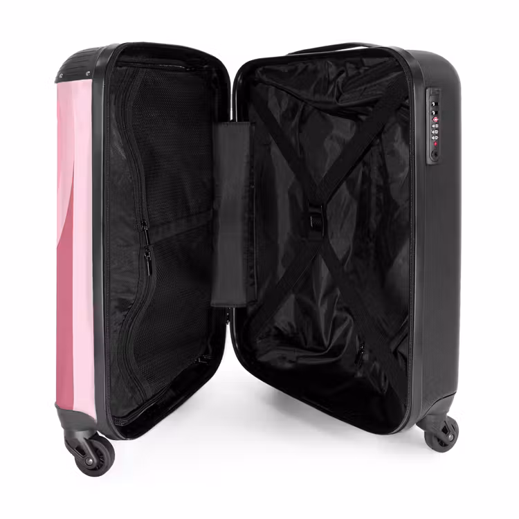 Koffer - Zusammenfassung – Kreise – Streifen – Modern – Rosa - Abstract - Cirkels - Strepen - Modern - Roze NBS - Handbagage koffer - Vrouwen middel