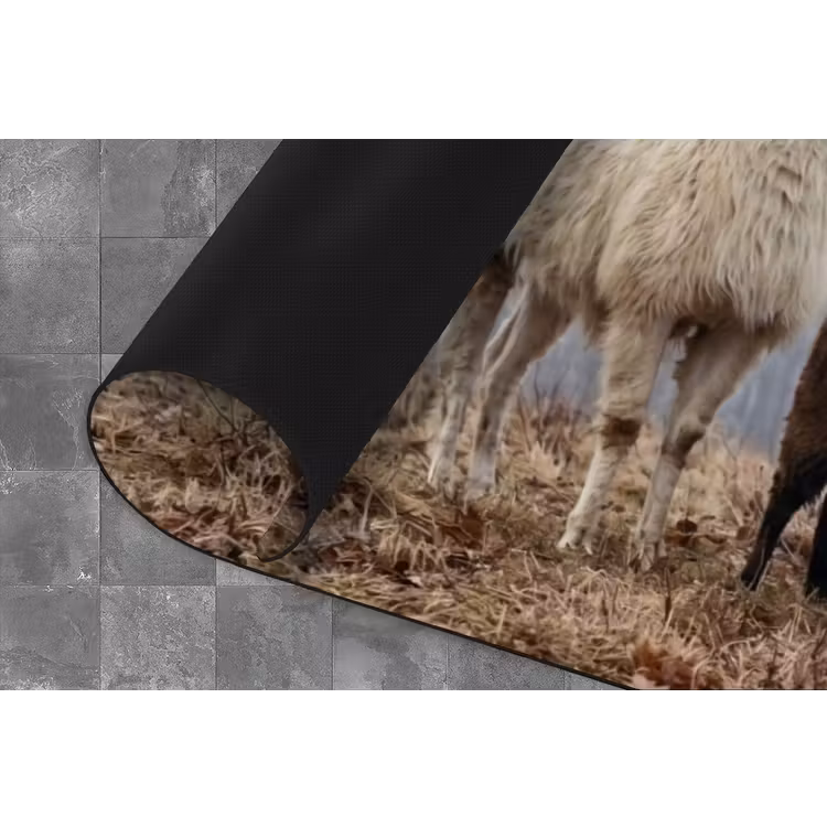 Boerderijdieren - Groep - Mist - Natuur - Rustiek Keukenloper - keukenmat middel -closeup
