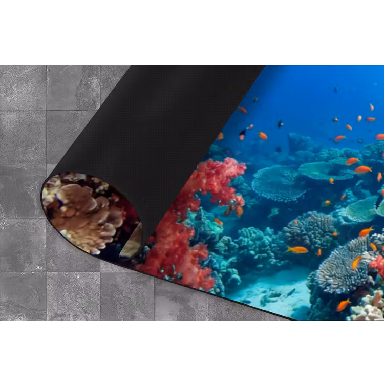 Koraalrif - Vissen - Onderwater - Tropisch - Rood Keukenloper - keukenmat middel -closeup