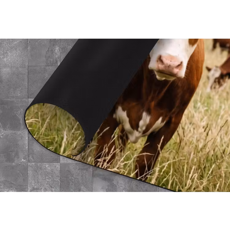 Koeien - Portret - Weide - Boerderij - Nieuwsgierig Keukenloper - keukenmat middel -closeup