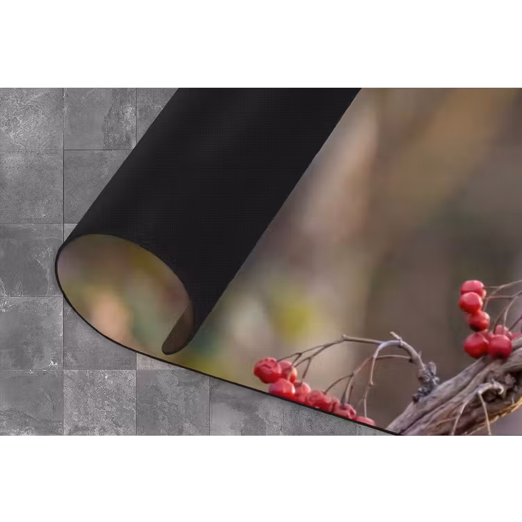 Roodborst - Tak - Bessen - Natuur Keukenloper - keukenmat middel -closeup