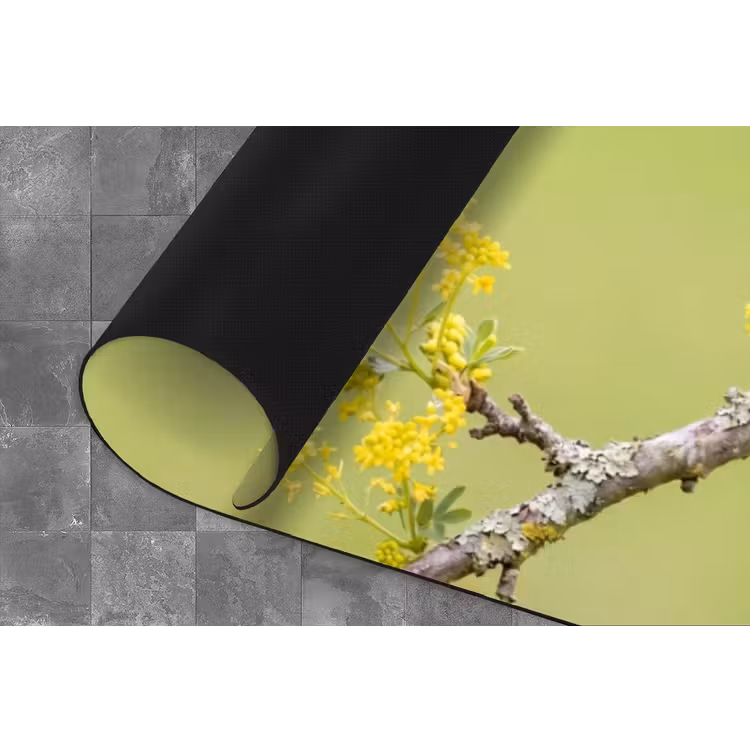 Vogel - Tak - Natuur - Kleurrijk Keukenloper - keukenmat middel -closeup