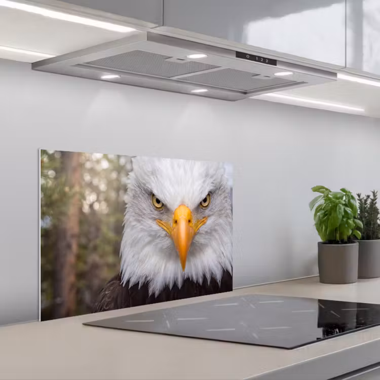 Amerikaans - Zeearend - Portret - Geel keuken achterwand spatscherm klein -3d_schuin