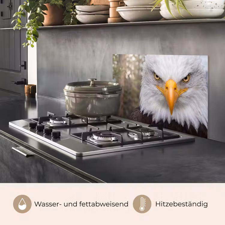 Amerikaans - Zeearend - Portret - Geel keuken achterwand spatscherm klein -usp_DE