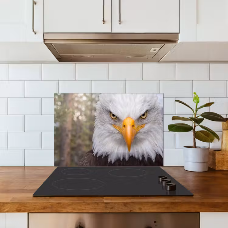 Amerikaans - Zeearend - Portret - Geel keuken achterwand spatscherm klein -sfeer2