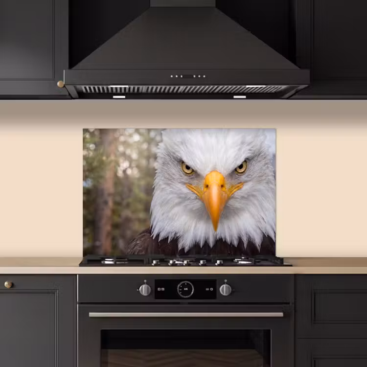 Amerikaans - Zeearend - Portret - Geel keuken achterwand spatscherm klein -sfeer1