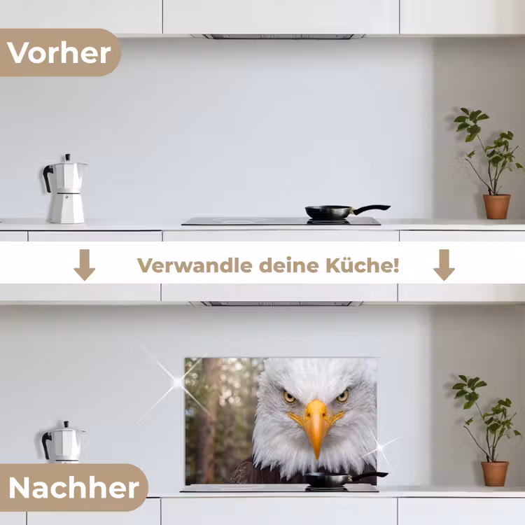 Amerikaans - Zeearend - Portret - Geel keuken achterwand spatscherm klein -voor_na_DE