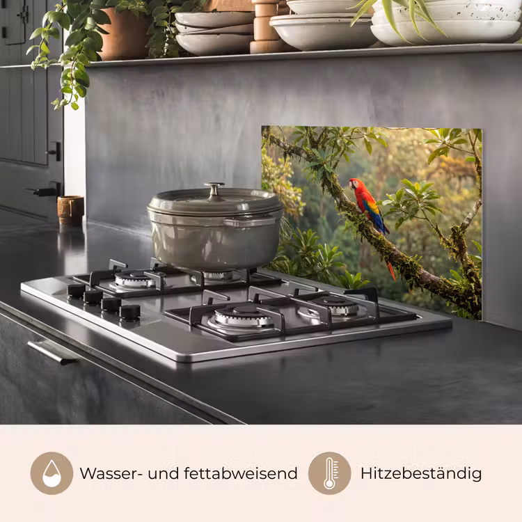 Ara - Jungle - Rood keuken achterwand spatscherm klein -usp_DE
