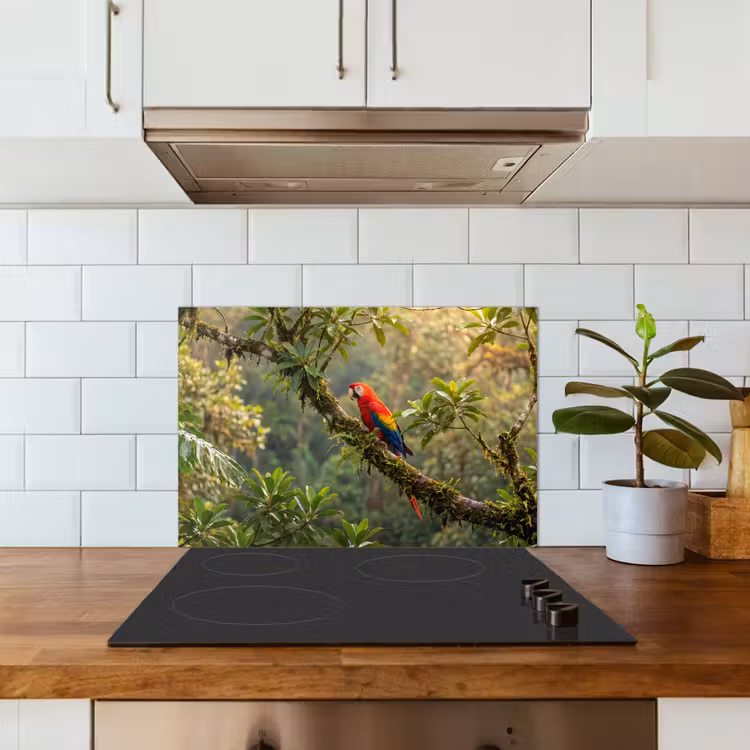 Ara - Jungle - Rood keuken achterwand spatscherm klein -sfeer2