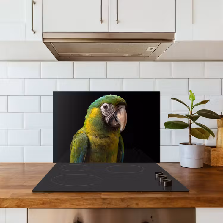 Ara - Portret - Groen keuken achterwand spatscherm klein -sfeer2