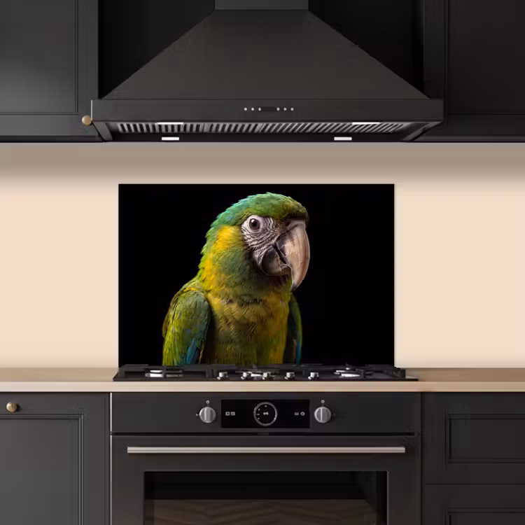 Ara - Portret - Groen keuken achterwand spatscherm klein -sfeer1