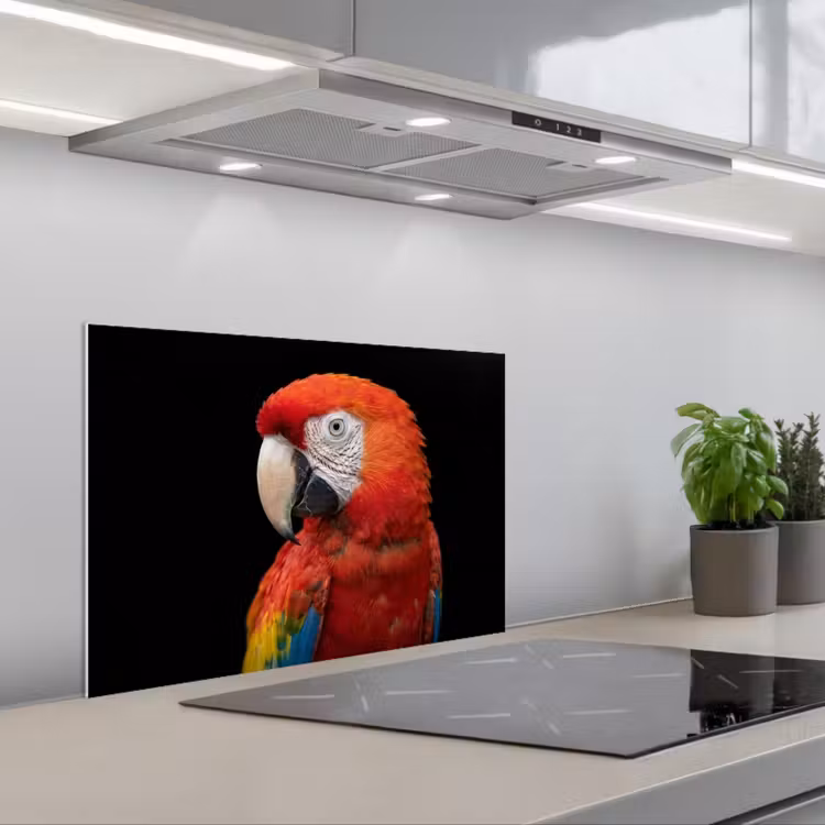 Ara - Portret - Rood keuken achterwand spatscherm klein -3d_schuin