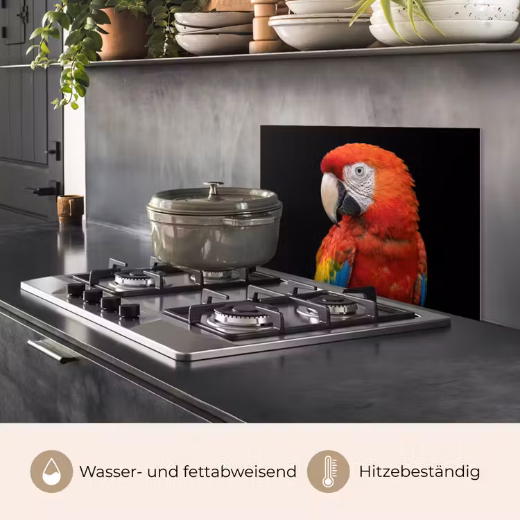 Ara - Portret - Rood keuken achterwand spatscherm klein -usp_DE