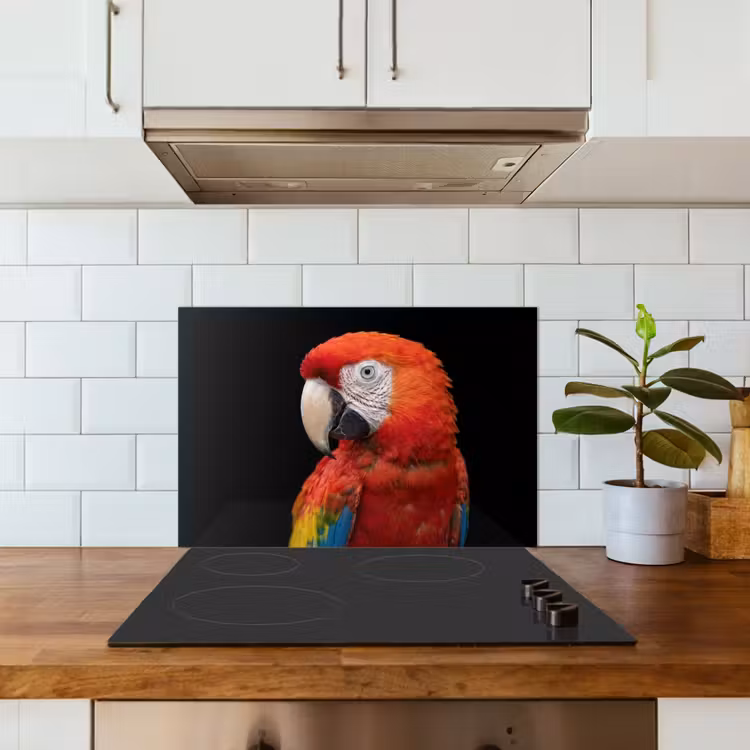 Ara - Portret - Rood keuken achterwand spatscherm klein -sfeer2