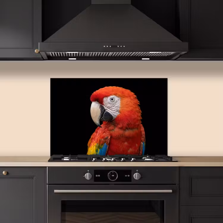 Ara - Portret - Rood keuken achterwand spatscherm klein -sfeer1