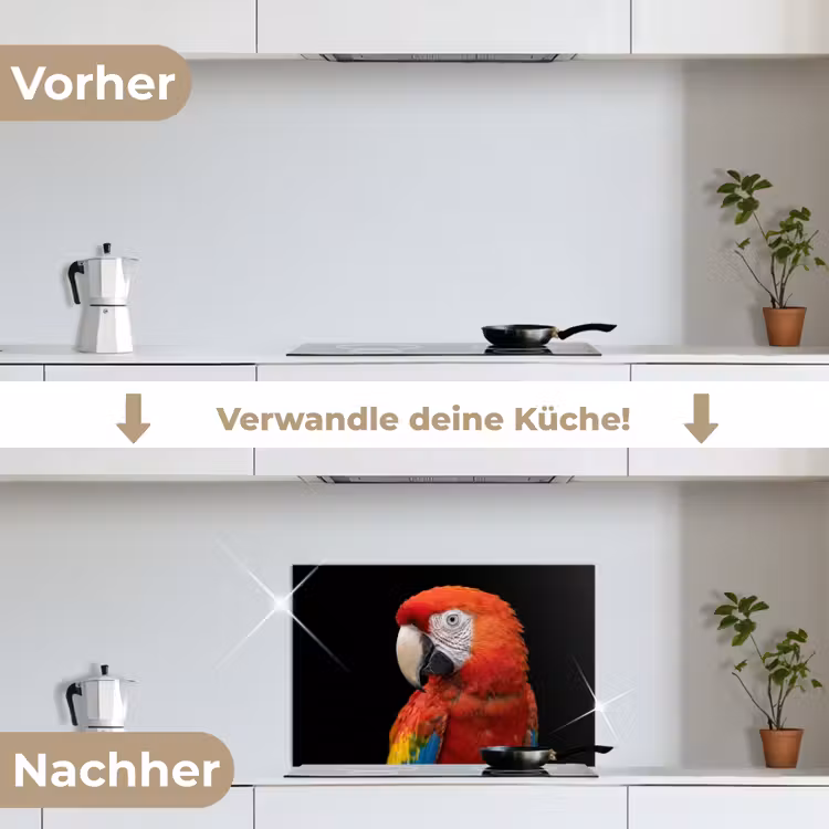 Ara - Portret - Rood keuken achterwand spatscherm klein -voor_na_DE