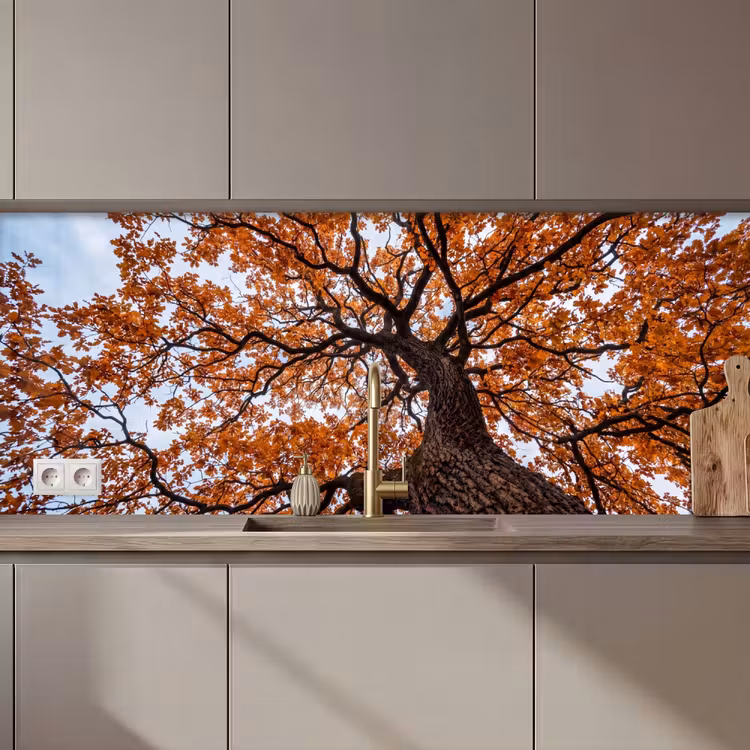 Boom - Bladerdak - Herfst - Oranje - Sfeervol keuken achterwand 2 middel zz_3dshopping