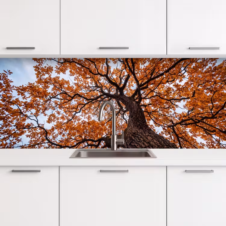 Boom - Bladerdak - Herfst - Oranje - Sfeervol keuken achterwand 2 middel -3d