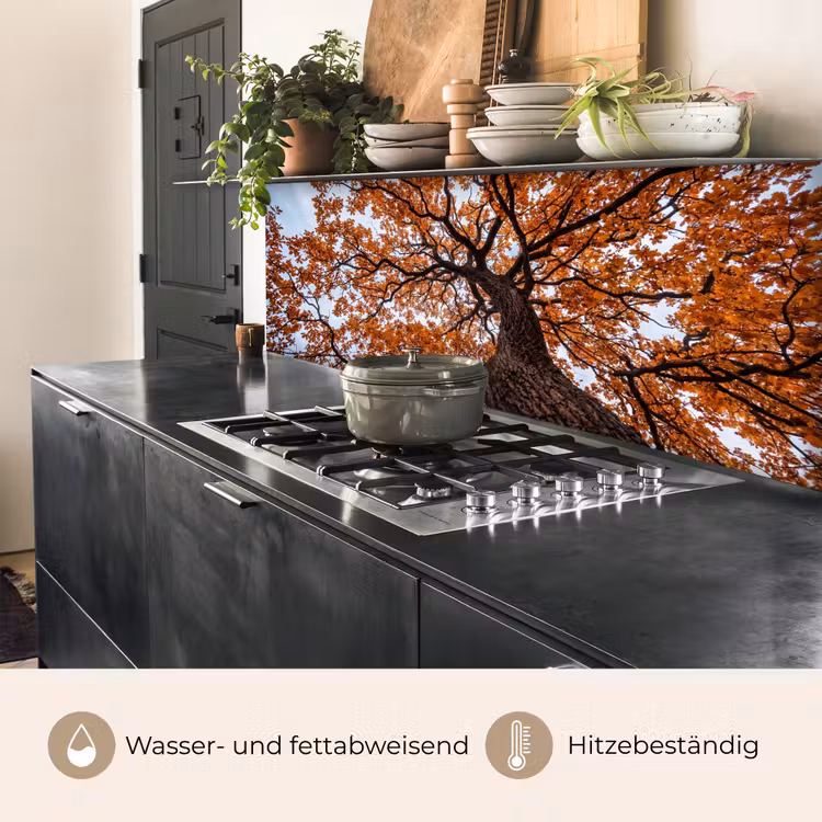 Boom - Bladerdak - Herfst - Oranje - Sfeervol keuken achterwand 2 middel -usp_DE