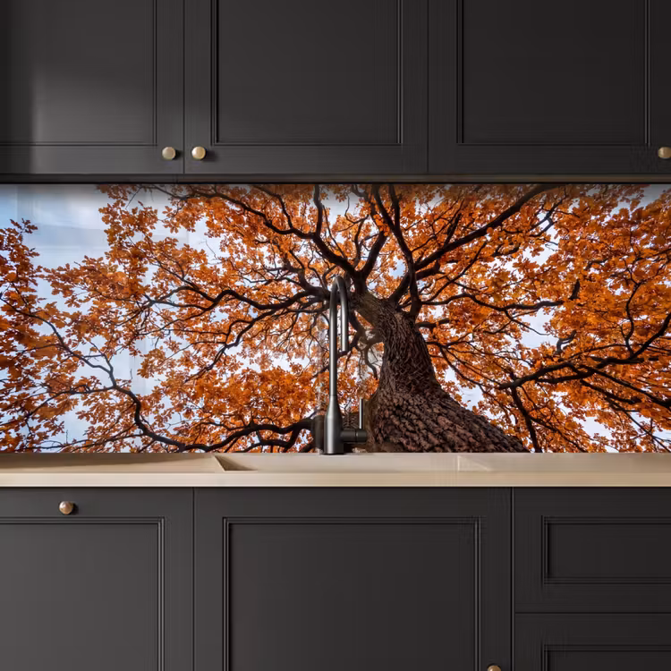 Boom - Bladerdak - Herfst - Oranje - Sfeervol keuken achterwand 2 middel -sfeer1