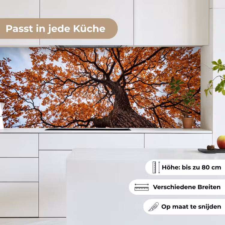 Boom - Bladerdak - Herfst - Oranje - Sfeervol keuken achterwand 2 middel -sfeer4_DE