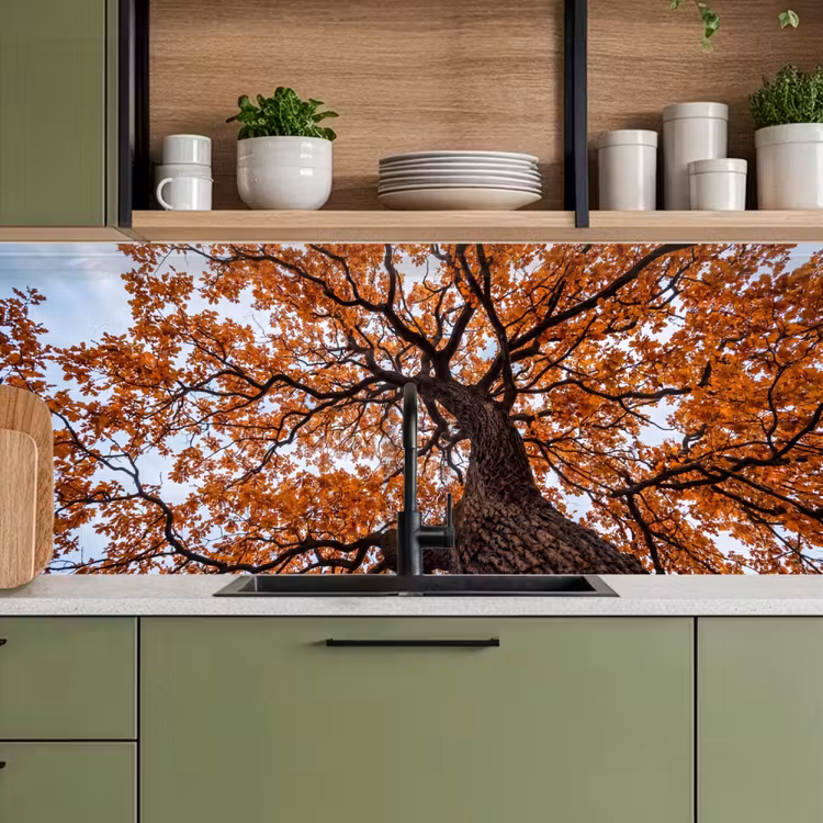 Boom - Bladerdak - Herfst - Oranje - Sfeervol keuken achterwand 2 middel -sfeer3
