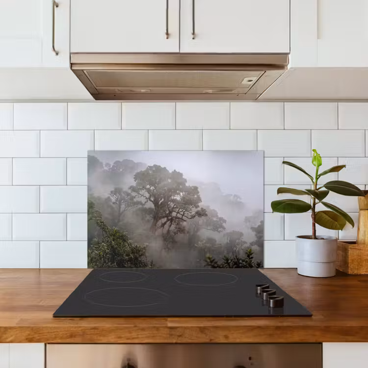 Boom - Mistig - Bos - Groen - Natuur keuken achterwand spatscherm klein -sfeer2