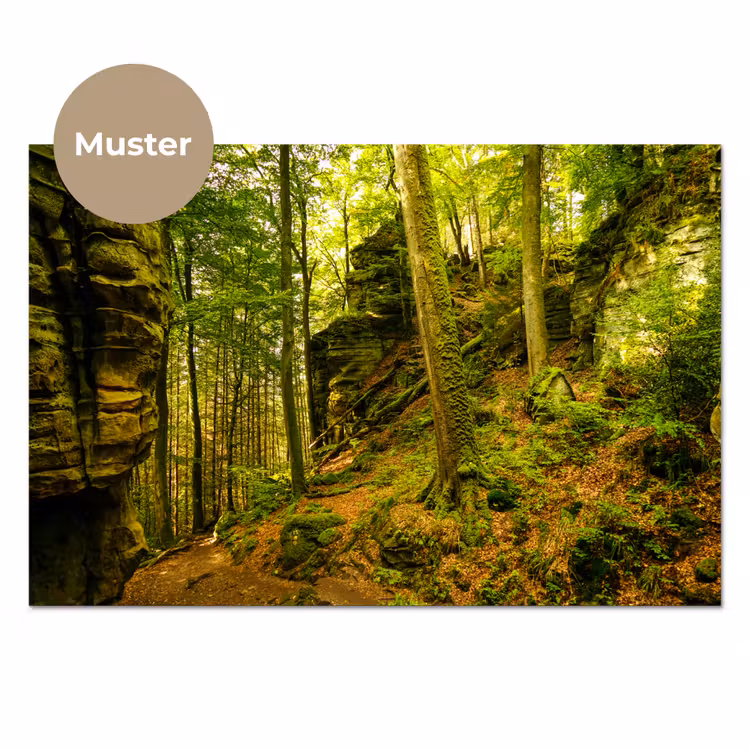 Bomen - Steen - Bos - Natuur - Planten keuken achterwand sample klein -3d_DE