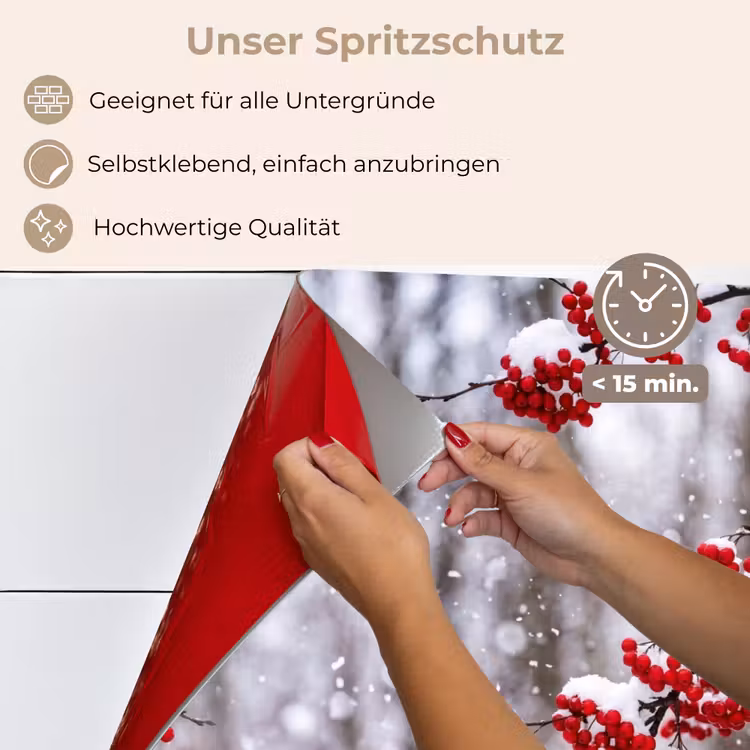 Bessen - Takken - Sneeuw - Winter - Kleurrijk keuken achterwand spatscherm klein -spatscherm_DE