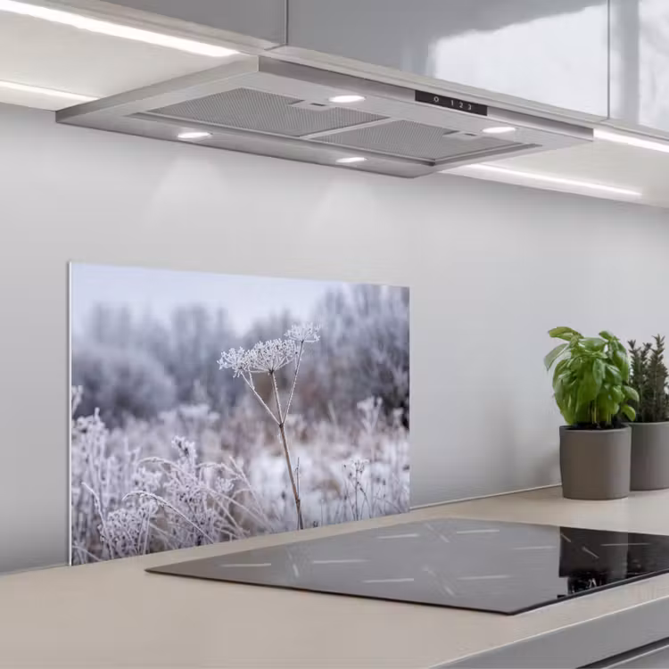 Schermbloem - Rijp - Kristallen - Winter - Delicaat keuken achterwand spatscherm klein -3d_schuin