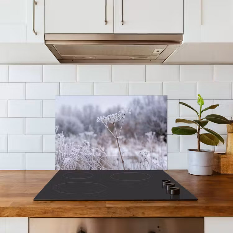 Schermbloem - Rijp - Kristallen - Winter - Delicaat keuken achterwand spatscherm klein -sfeer2