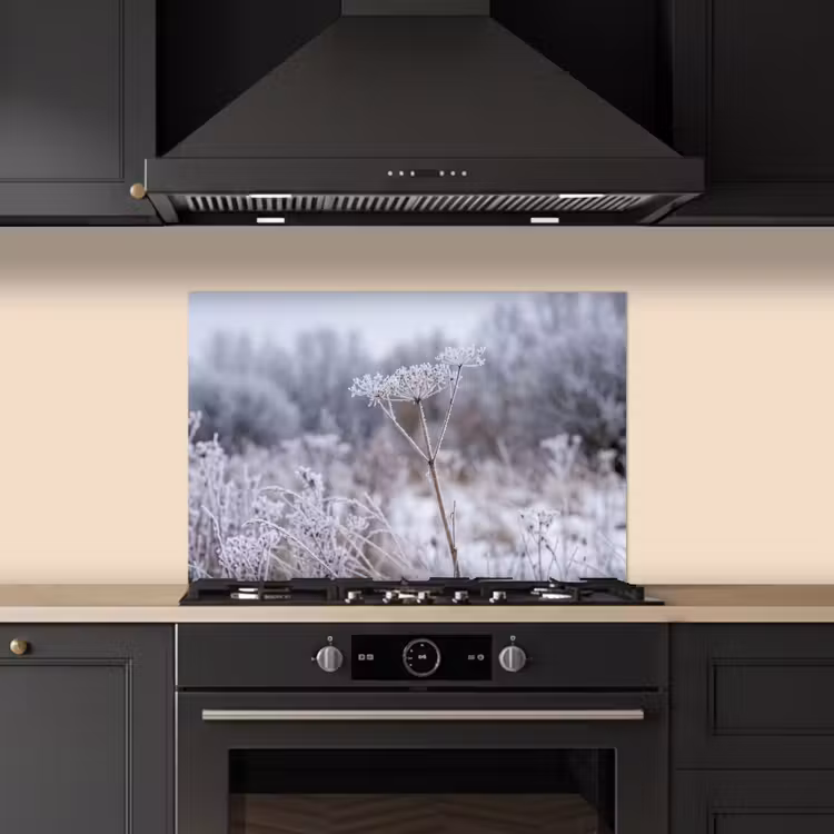 Schermbloem - Rijp - Kristallen - Winter - Delicaat keuken achterwand spatscherm klein -sfeer1