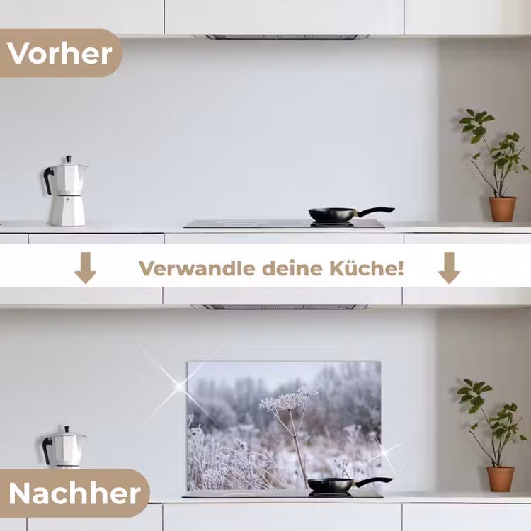 Schermbloem - Rijp - Kristallen - Winter - Delicaat keuken achterwand spatscherm klein -voor_na_DE