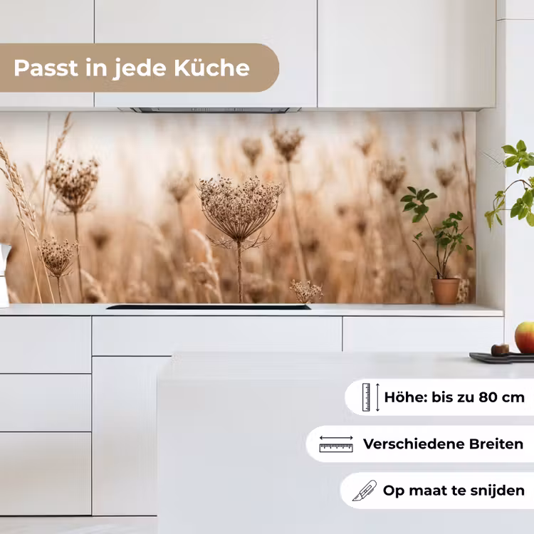 Schermbloem - Droogbloem - Winter - Beige - Minimalistisch keuken achterwand 2 middel -sfeer4_DE