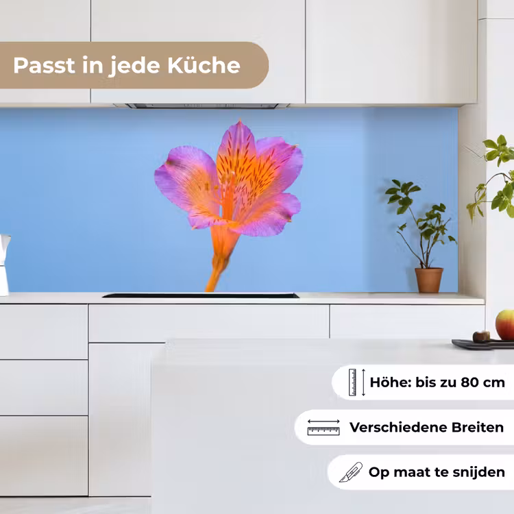 Bloem - Detail - Kleurrijk keuken achterwand 2 middel -sfeer4_DE