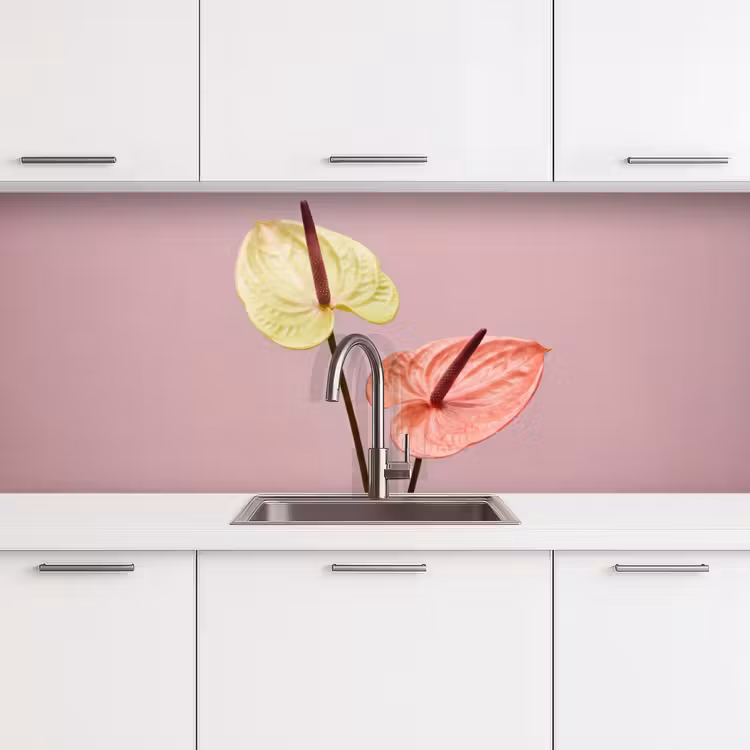 Bloemen - Anthuriums - Geel - Roze keuken achterwand 2 middel -3d