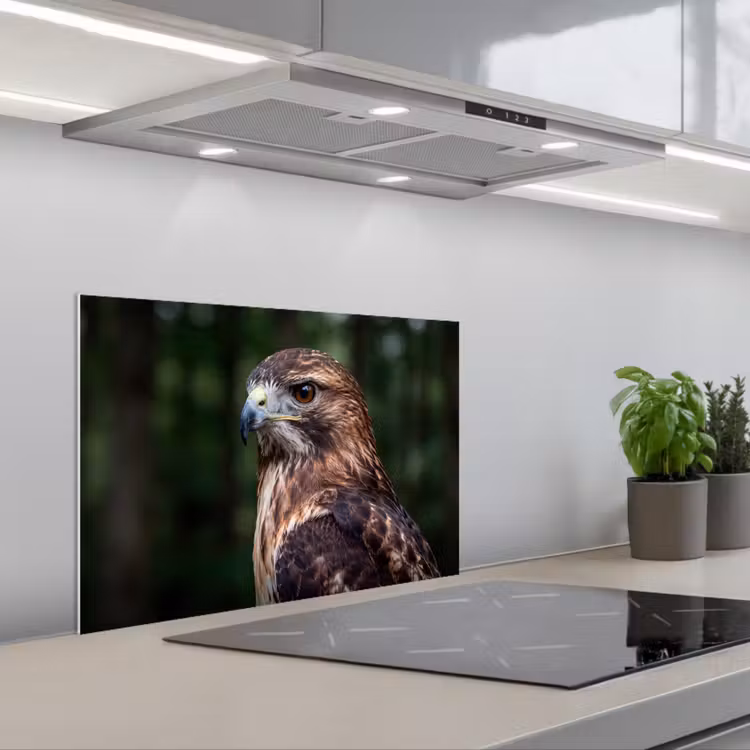 Buizerd - Roofvogel - Natuur - Bruin keuken achterwand spatscherm klein -3d_schuin