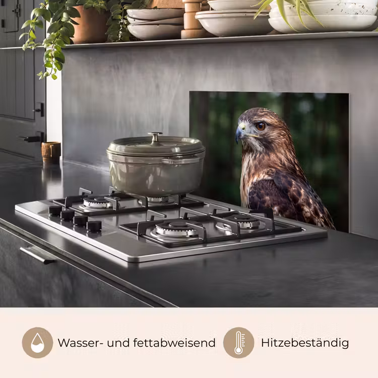 Buizerd - Roofvogel - Natuur - Bruin keuken achterwand spatscherm klein -usp_DE